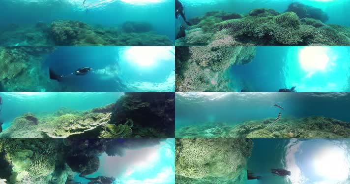 N085-4K大海潜水全景视频