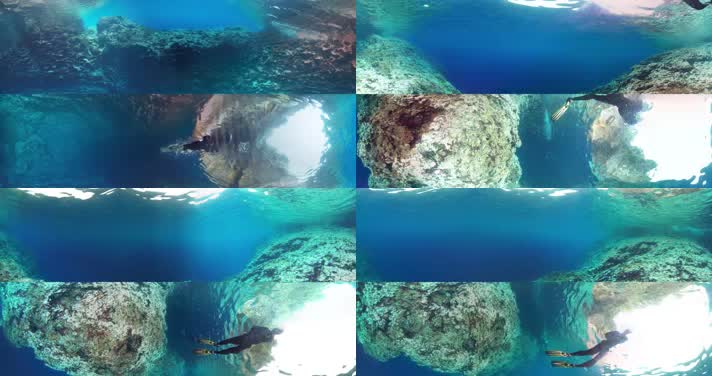 N0204-4K海底潜水全景视频 (5)