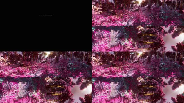 N0128-4K粉色梦幻森林全景视频