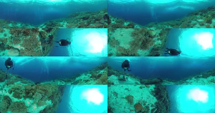 N0202-4K海底潜水全景视频 (3)