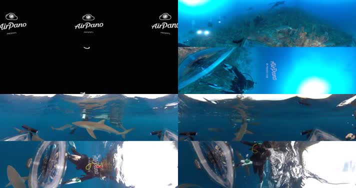 N0201-4K海底潜水全景视频 (2)
