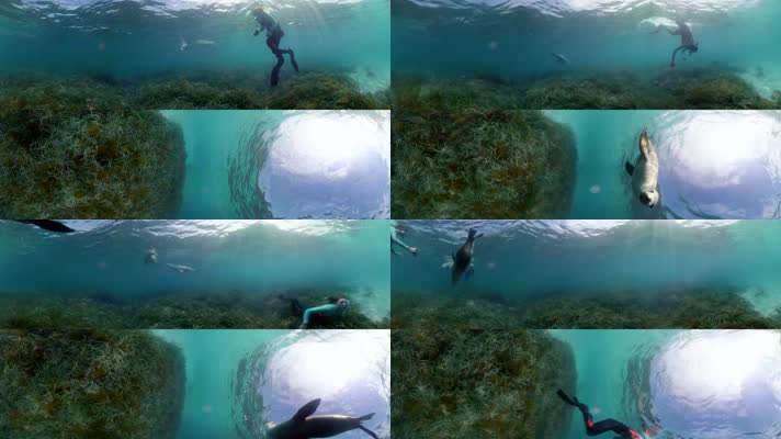 N0205-4K海底潜水全景视频 (6)