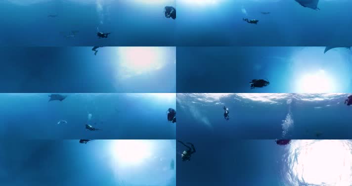 N0198-4K海底潜水海洋生物全景视频