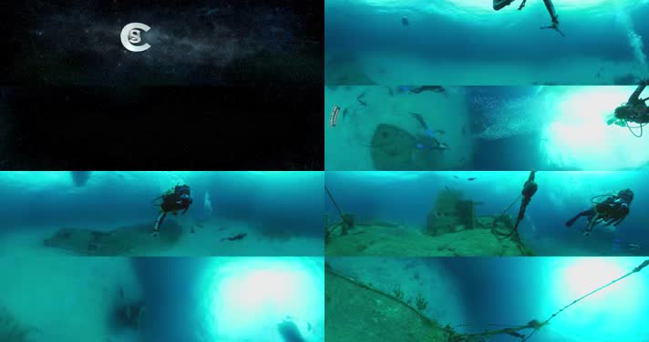 N0213-4K海底鲨鱼群全景视频