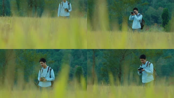 金灿灿稻田 乡村 旅游 采风 稻田 丰收