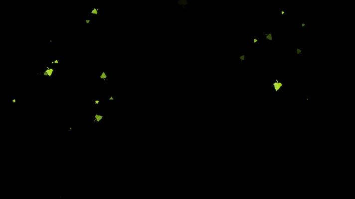 番薯叶动态转场视频