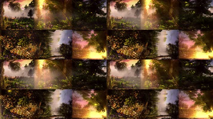N0486-4K唯美童话森林全景视频