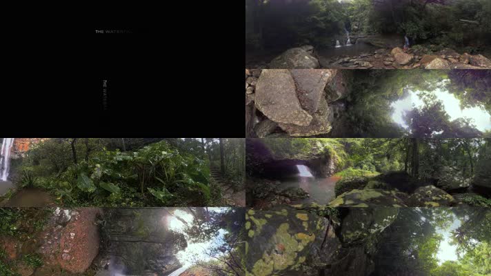 N0406-4K热带雨林探险全景视频