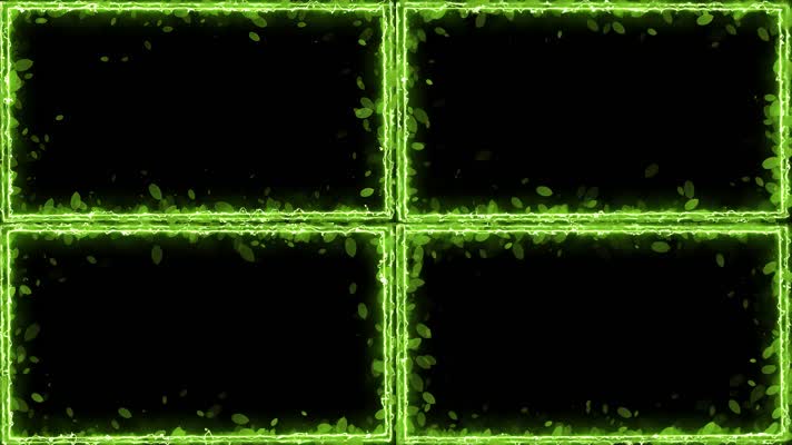 闪电绿叶装饰边框