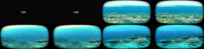 N0617-5K海底世界VR180视频