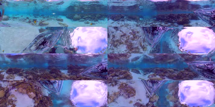N0698-6K海底世界潜水全景视频