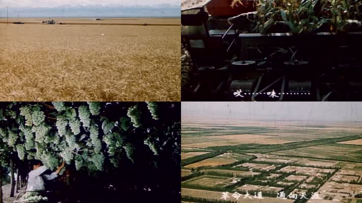 60年代新疆建设军垦边疆人民老视频