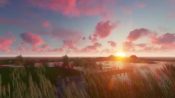 芦苇草丛早上的太阳太阳升起