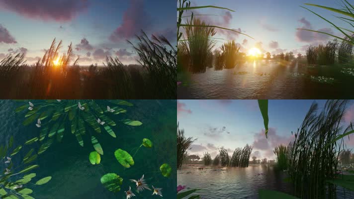 洪湖岸边是我家配乐视频