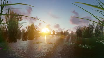 洪湖岸边是我家配乐视频