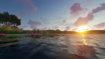 芦苇洪湖水浪打浪配音视频