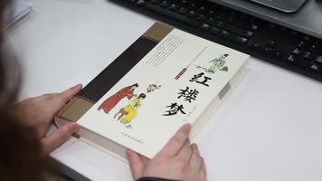 看书籍  读三国演义 