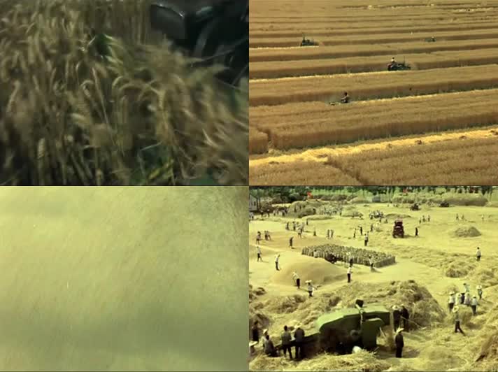 80年代中国农业大丰收历史影像视频