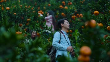 乡村旅游 乡村度假 农业发展 乡村发展 