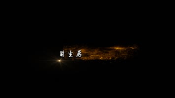 追梦人sayatoo字幕dxv编码 字幕 透明通道字幕