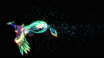 凤凰侧面通道合成