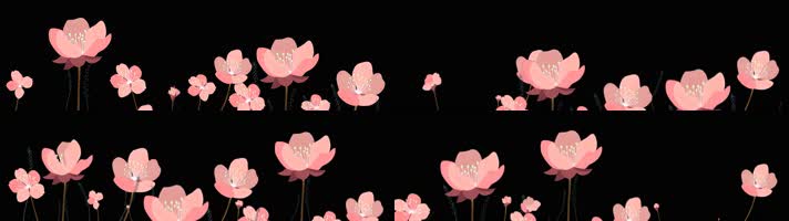 鲜花绽放动画开花动画视频素材