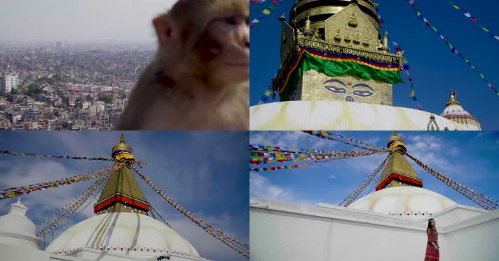 加德满都城市全景猴庙佛塔旅拍宣传 4k