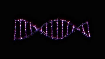 全息dna粒子螺旋循环