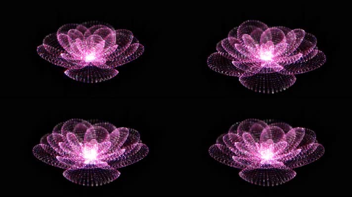 粒子莲花绽放合成素材