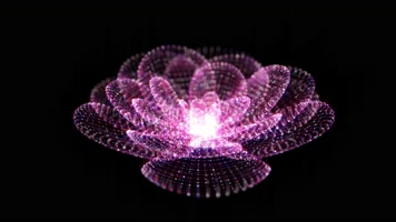 粒子莲花绽放合成素材