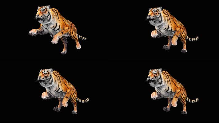 老虎碰跑合成素材
