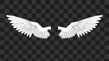 天使翅膀-alpha通道