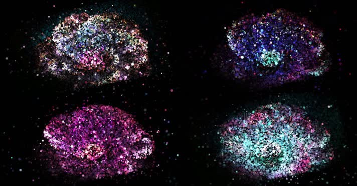 粒子花朵舞台背景