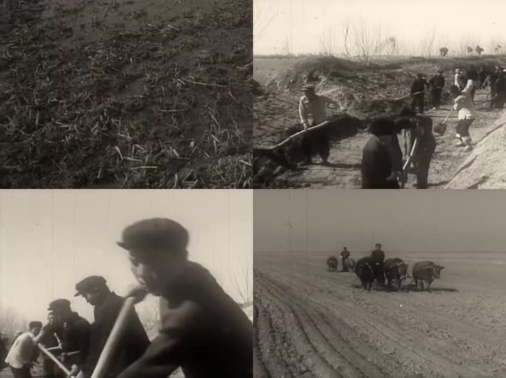 60年代河南农村劳动的农民老视频