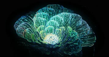 线框花朵舞台背景