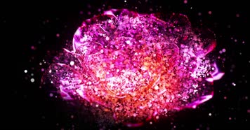 粒子花朵舞台背景