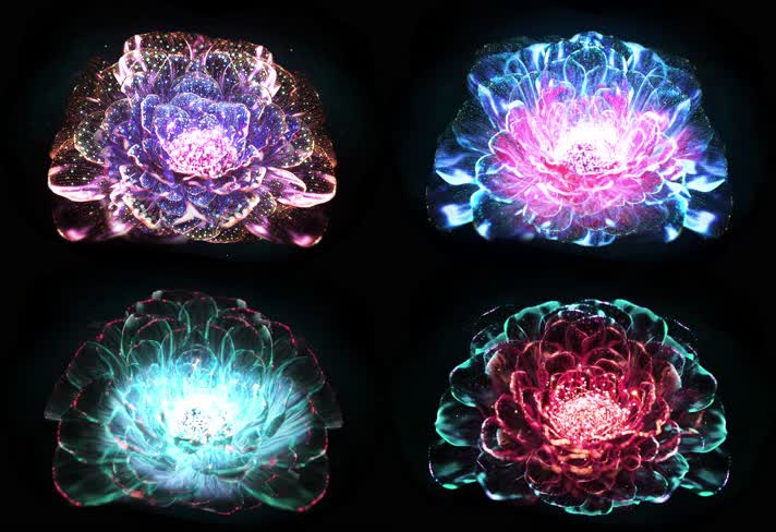 花朵盛开舞台背景