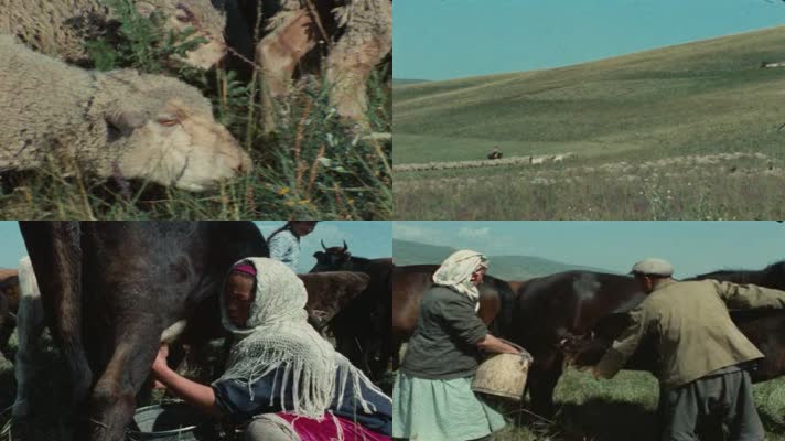 70年代哈萨克族牧民老视频7