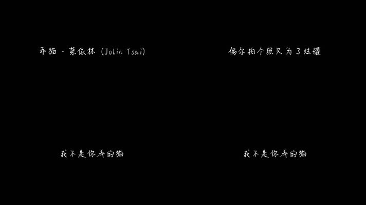 乖猫 - 蔡依林（1080P）