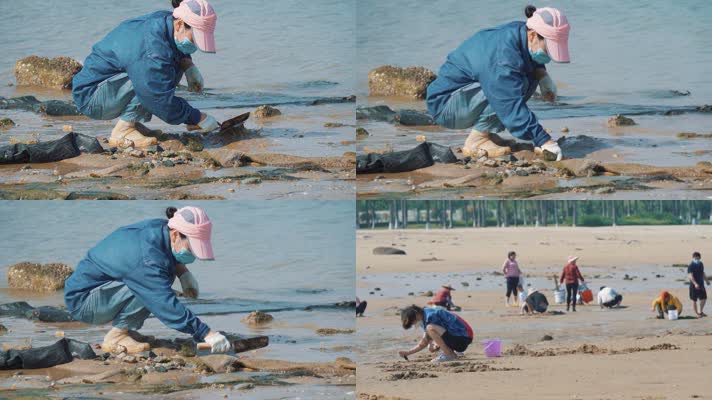 海边赶海的人挖花蛤