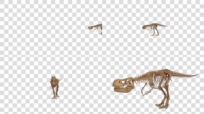 走动的恐龙化石-alpha通道