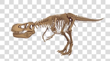 走动的恐龙化石-alpha通道