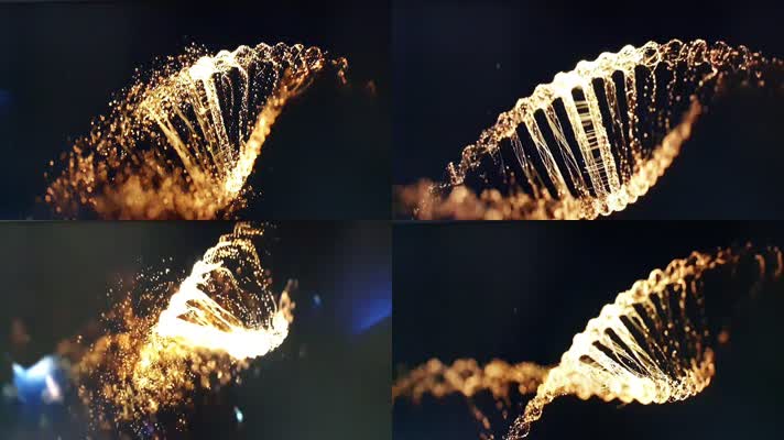 【4K】基因DNA