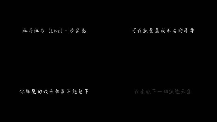 斑马斑马 (Live) - 沙宝亮（1080P）