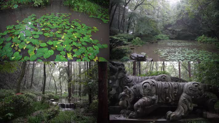 杭州虎跑公园虎跑雕像4K视频