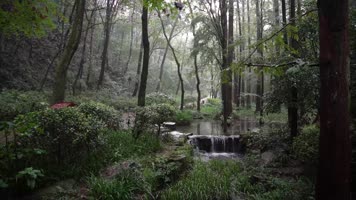 杭州虎跑公园虎跑雕像4K视频