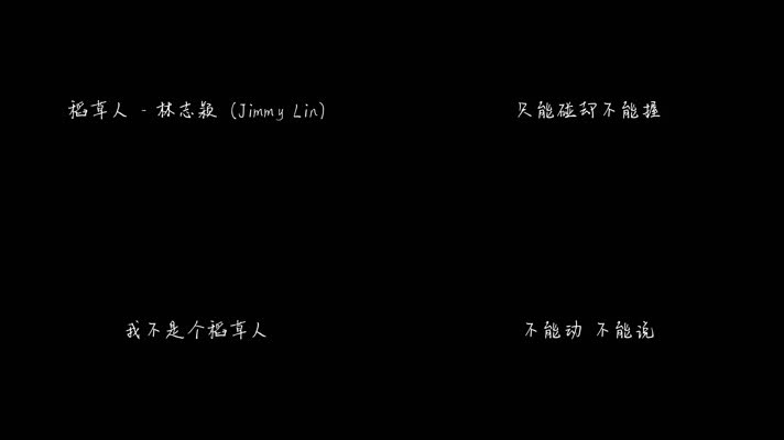 稻草人 - 林志颖（1080P）