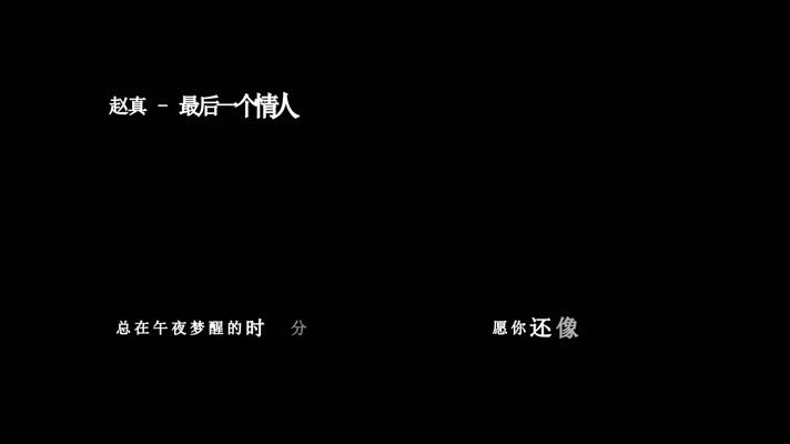 赵真-最后一个情人歌词