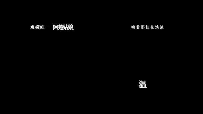 袁娅维-阿楚姑娘歌词