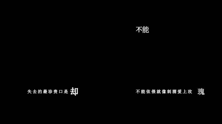 游鸿明-当刺猬爱上玫瑰歌词